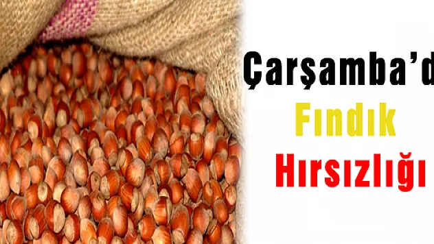 Fındık Hırsızlığına Gözaltı