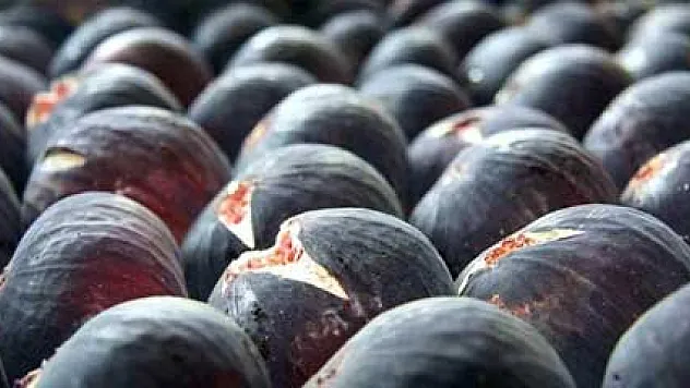 Üretici market fiyat farkında nisan ayında da incir başta