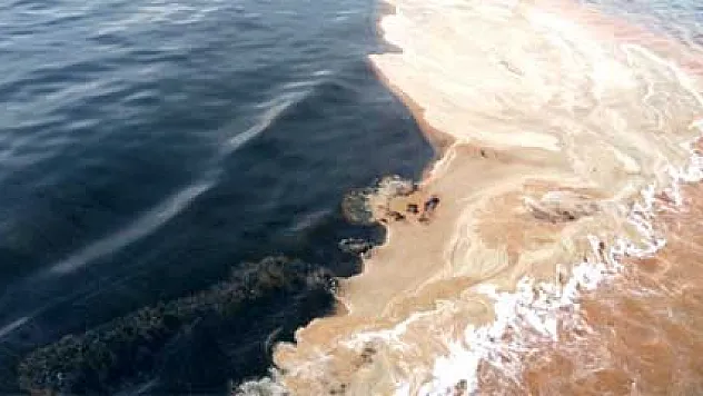 Denizde kahverengi tabaka Yalova'da da ortaya çıktı