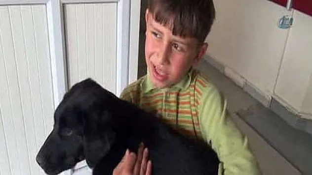 Acı çeken köpeği acil servise getirdi