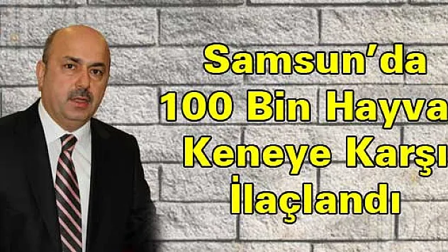 Samsun'da 100 Bin Hayvan Keneye Karşı İlaçlandı