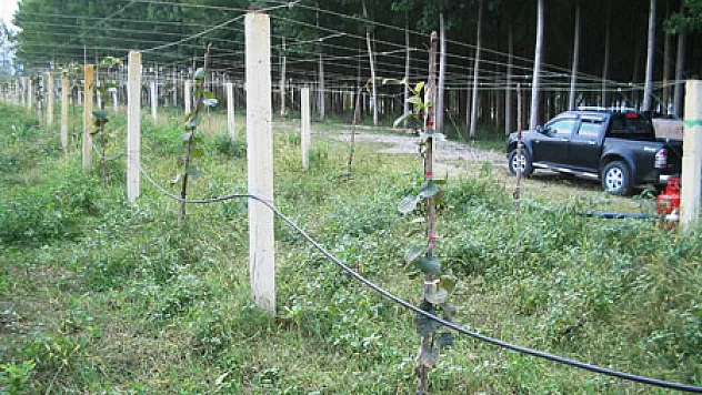 Yüzde 50 Hibe Desteği