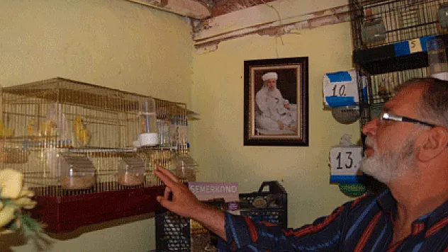 Kanarya sesi ile hayata tutundu