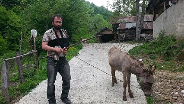 Eşeğin saldırısına uğradı, eski sahibine dava açtı