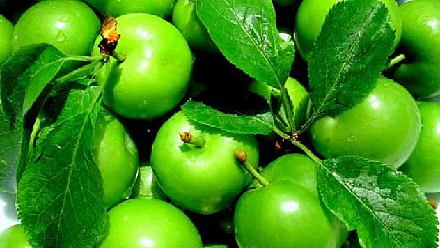 ERİK CİLDİNİZİ GÜZELLEŞTİRİYOR