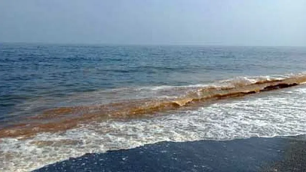 Karacabey sahili kızıla boyandı