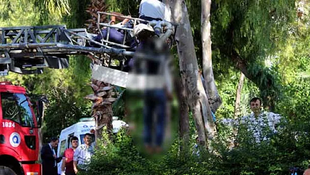 Ceset ağaçtan alınmak istenirken yere düşürüldü