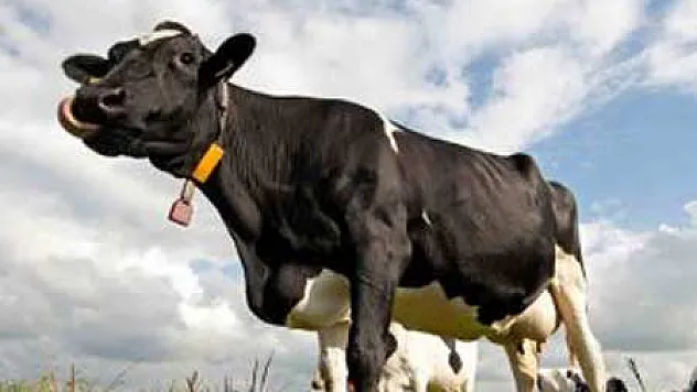 Üreticide 1 TL, Tüketiciye 3 TL