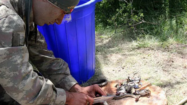 Komandoların arazi menüsü: Yılan, kurbağa ve tavuk