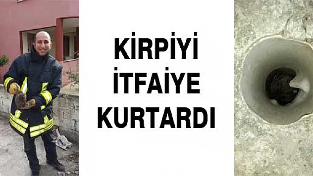 KİRPİYİ İTFAİYE KURTARDI