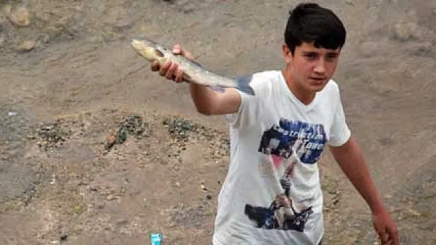 Onlarca balık telef oldu