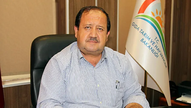 Samsun'da 154 Bin 22 Hayvana Kene İlacı Yapıldı