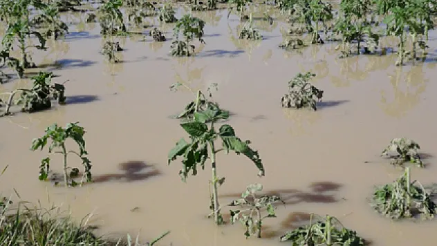 Çiftçiyi sel ve dolu vurdu