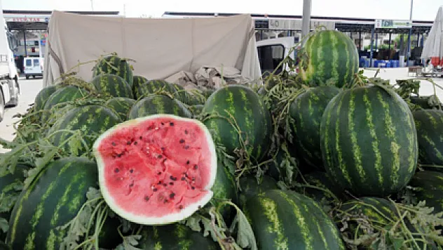 30 kuruşluk Antalya karpuzu elde kaldı