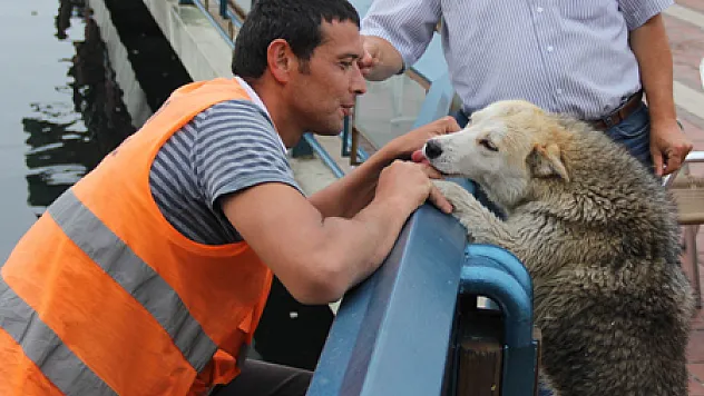 Göle Düşen Köpeği Kurtarma Operasyonu