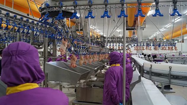 Kesilen tavuk ve hindi sayısı nisan'da arttı