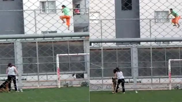 Köpekle tehdit edilen çocuk tel örgülere tırmanıp kaçtı