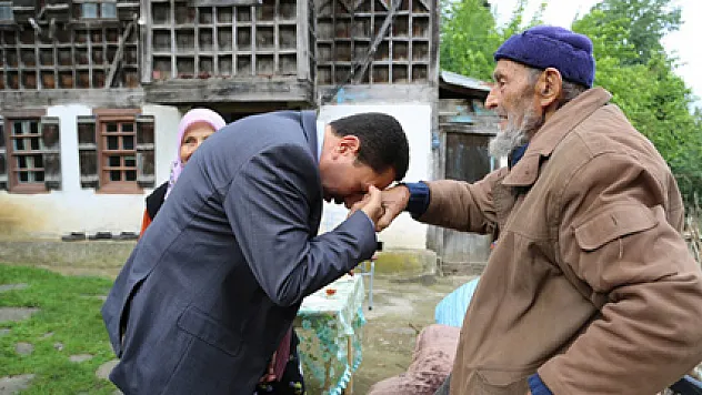 Ordu'nun asırlık çınarları