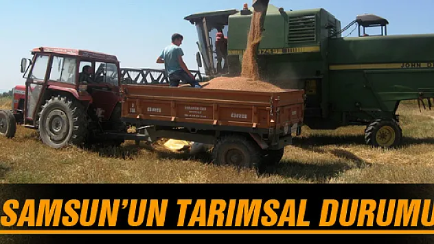 SAMSUN'UN TARIMSAL DURUMU 