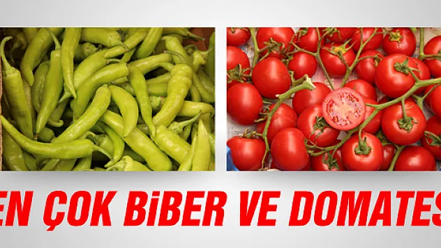 Samsun'da En Çok Domates, Biber ve Buğday Yetişiyor