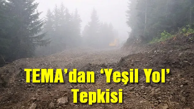 TEMA'dan 'Yeşil Yol' Tepkisi