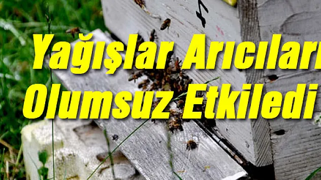 Yağışlar arıcıları olumsuz etkiledi