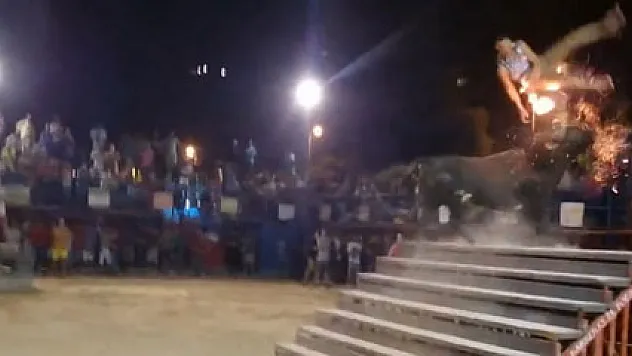 Boğayla şaka olmaz !