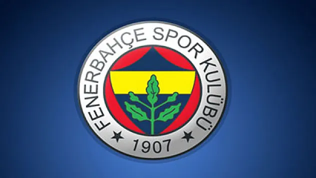 Fenerbahçe servet harcadı