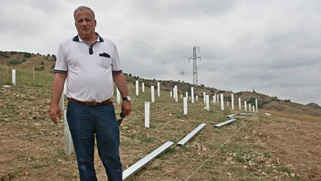 Otoyol kenarına kurduğu paneller ile devlete elektrik satacak