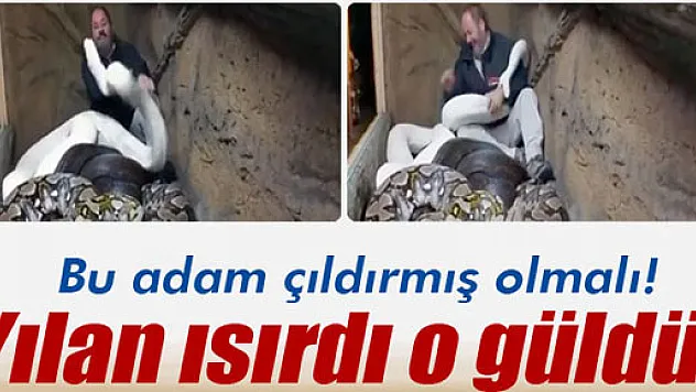 Yılanlarla aynı yuvaya girdi