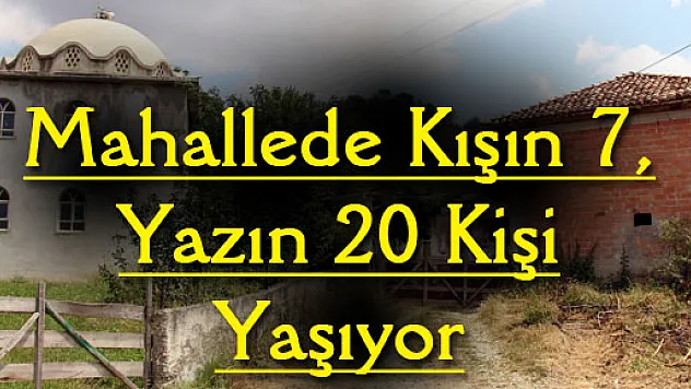 Mahallede Kışın 7, Yazın 20 Kişi Yaşıyor