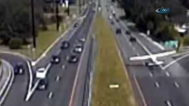 Otoyolda sürpriz konuk!