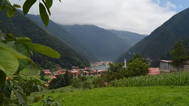Mısır tarlasından turizm merkezine Uzungöl