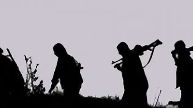 Diyarbakır'da terör örgütüne büyük darbe