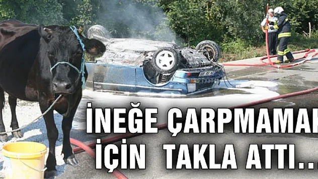 ÖNÜNE ÇIKAN İNEĞE ÇARPMAMAK İÇİN…