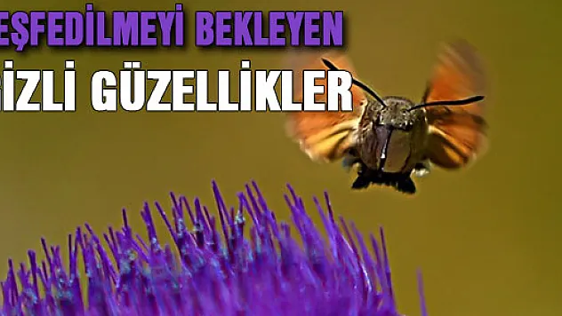 Uludağ'da gizli güzellikler