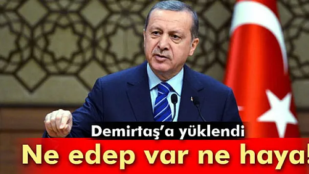 Cumhurbaşkanı Demirtaş'a yüklendi: 'Ne edep var ne haya!'