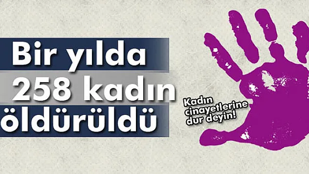 Bir yılda 258 kadın öldürüldü