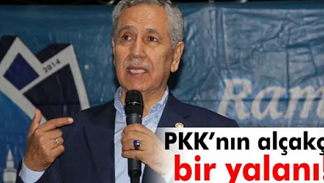 Arınç:'PKK'nın alçakça bir yalanı'