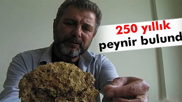 250 yıllık peynir bulundu