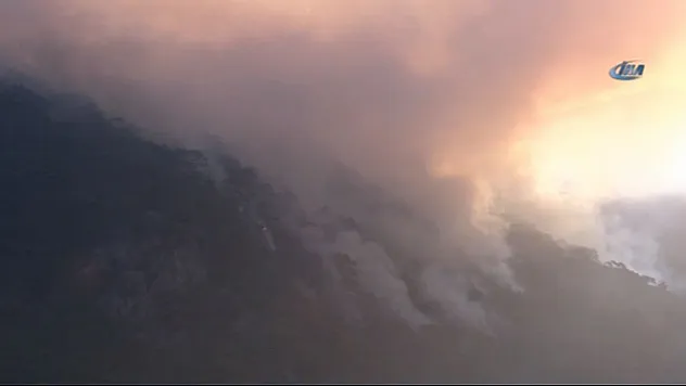 Düşen yıldırım ormanı yaktı