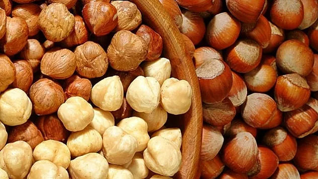 Her gün bir avuç fındık kanserden koruyor