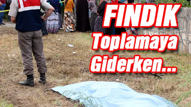 Fındık Toplamaya giderken…