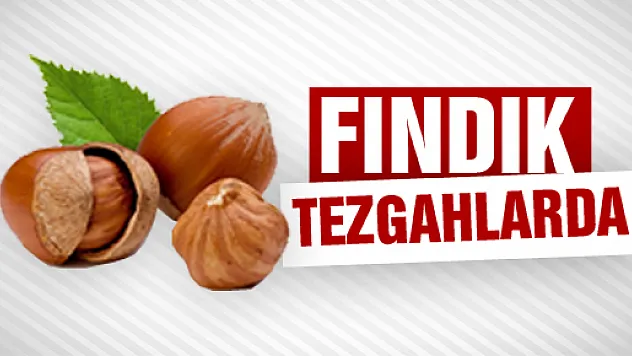 Fındık Üreticisi Yollarda Tezgah Açtı