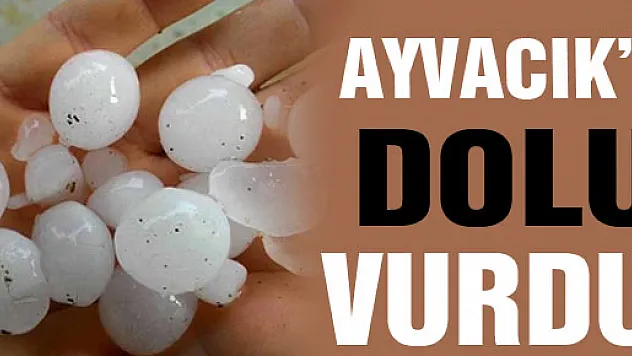 AYVACIK'I DOLU VURDU