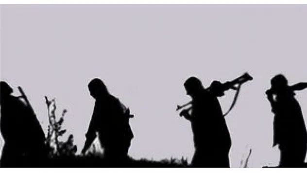 Bitlis'te PKK üyesi 1 kişi yakalandı