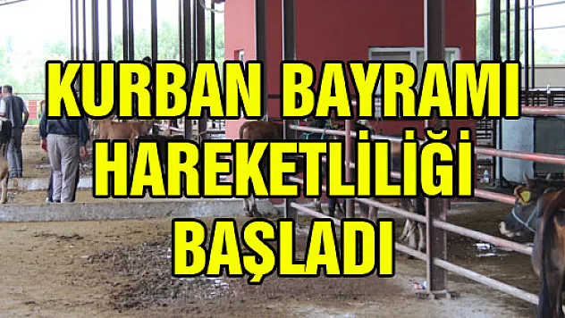 KURBAN BAYRAMI HAREKETLİLİĞİ BAŞLADI