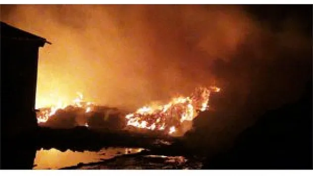 Çin'de facianın önüne geçilemiyor