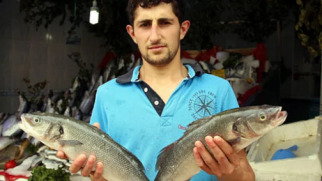 Samsunlu Balıkçıların Palamut Ve Hamsi Umudu