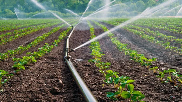 Tarım Sektöründe Şoke Eden Su İsrafı